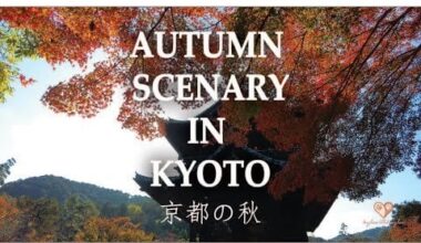 Best spots to watch autumn leaves in Kyoto on mid Nov
