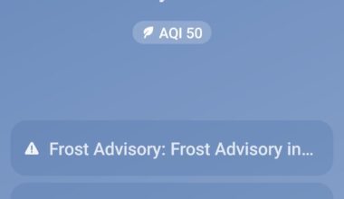 It's raining. Anime has lied to you about sakura season in Japan