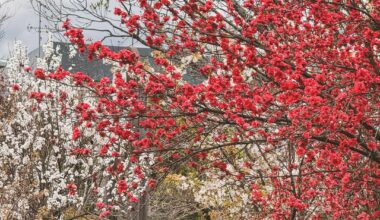 Some pic of my week 😇