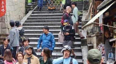 Famous Sakura tree in Sanneizaka near kyomizudera collapses