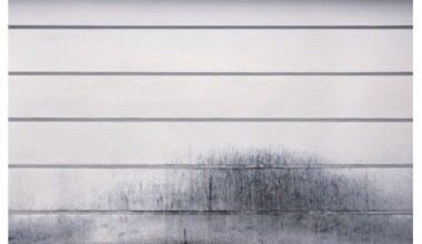 White Lines – Kyoto Journal