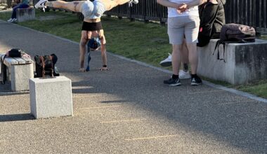 Why can’t tourists stop themselves from doing stupid shit?