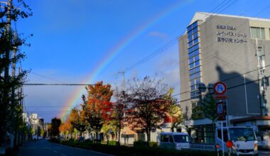 Suddenly, the weather turned cooler yesterday, and there was a rainbow that lasted a few hours.