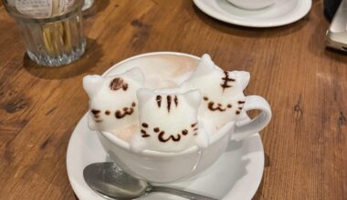 Look at these cute 3D milk foam cats