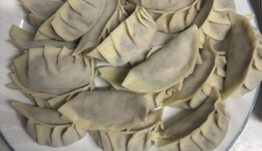 Homemade Gyoza
