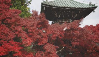 Autumn in Kyoto