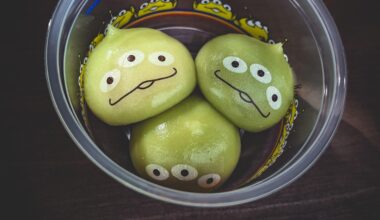 Disney Sea Alien Mochi