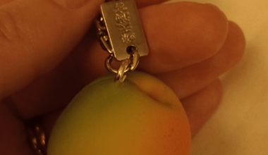 What is this plum charm?