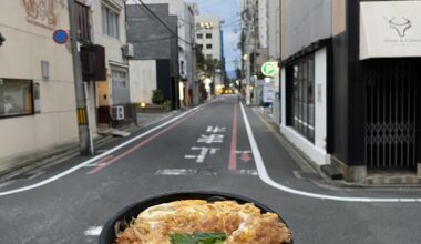 Takeaway Katsudon from Kyoto