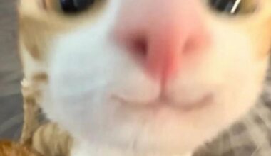 Im 19 , a man and im looking for a good friend( tbh i dont have any friensssss thats it , thank you ) 🥰🙏