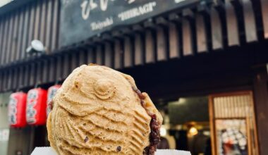 How many taiyaki can you eat in a day?
