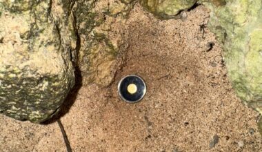 Hid some gold on Kouri island at Heart Rock. Good luck!