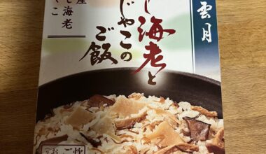 What is this called?  Google translation is interesting