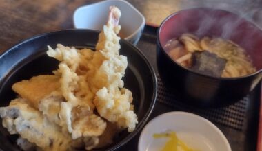 Tendon from Tsujiya