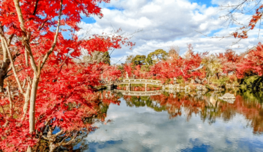 Autumn leaves,at Eikando in 🇯🇵Kyoto