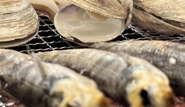 Scenery and cuisine of Fukushima Prefecture