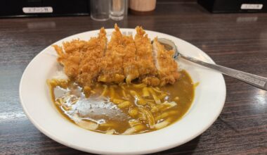 Katsu Curry with Cheese