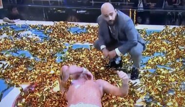 Title Challenge made for Wrestle Dynasty