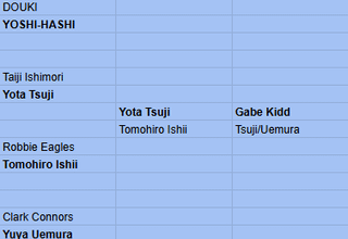 Just for fun - booking a 48 man openweight New Japan Cup. Not necessarily calling for this to happen, but it’s fun to fantasy book