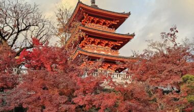 Kiyomizu-dera 清水寺