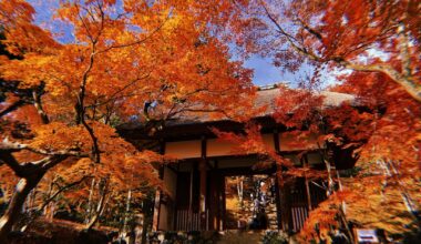 Autumn vibes