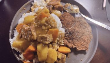 I made ton katsu and curry