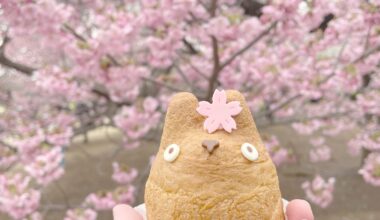 Totoro Cream Puff