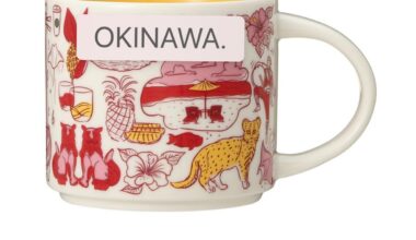 Where to get this Starbucks mug?
