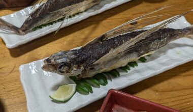 Yakushima's specialty, flying fish