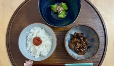 Rice with umeboshi, cucumbers in vinegar with myoga and ginger juice, plus beef with burdock :)