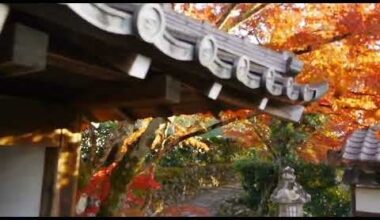 Video: One minute of autumn leaves in Sakyo-ku, Kyoto