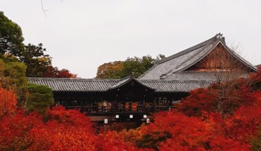 Autumn leaves🍁at Kofukuji in 🇯🇵Kyoto.