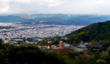 You have to climb a lot of stairs – A LOT – to get this view looking down on Kiyomizu-dera and Heian-kyo. I was chugging along well, I thought, but of course an older man went blasting past me.