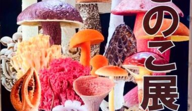 Mushroom Exhibition Sat-Sun at Kyoto Botanical Gardens, (10.26 0900-1700 10.27 0900-1615)