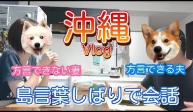 Okinawan Conversation - 沖縄語会話