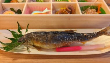 Lunch box eaten on the riverside of Kifune, Kyoto