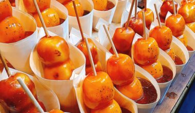 Japanese Mochi-sweets “Mitarashi-dango” in Arashiyama,Kyto