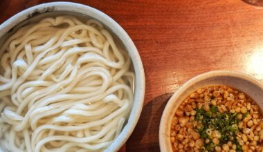 Udon at Nezu Kamachiku / Tokyo