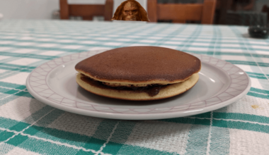 First time making Dorayaki! Please be やさしい!! ( ꩜ //////// ꩜;)⁭ ⁭