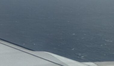 What are these things off the coast of Okinawa