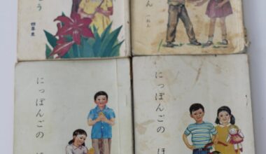 What are these types of books called in Japanese, generally?