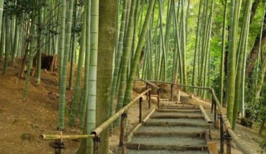 Kansai Green Drinks - Kyoto Nov 21st