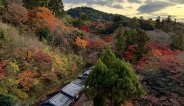 Late Autumn