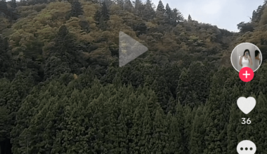 Need help identifying this location in kyoto