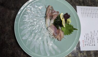 Squid Sashimi in Yamaguchi