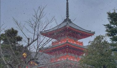 Kiyomizu-dera in the snow from a few weeks back.