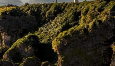 Cape Kyan Lighthouse- the tiniest lighthouse I've ever seen, near the southernmost point of the island.