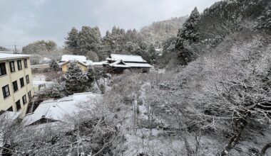 Morning snow in Sakyo-ku