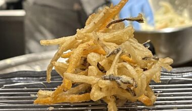 Tempura Goten (Matsuyama), cheap & cheerful