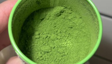 I was shocked at the difference between matcha from Kyoto and North American Costco!